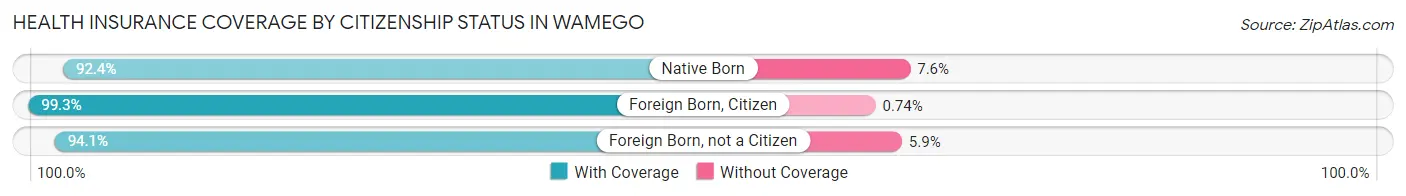 Health Insurance Coverage by Citizenship Status in Wamego