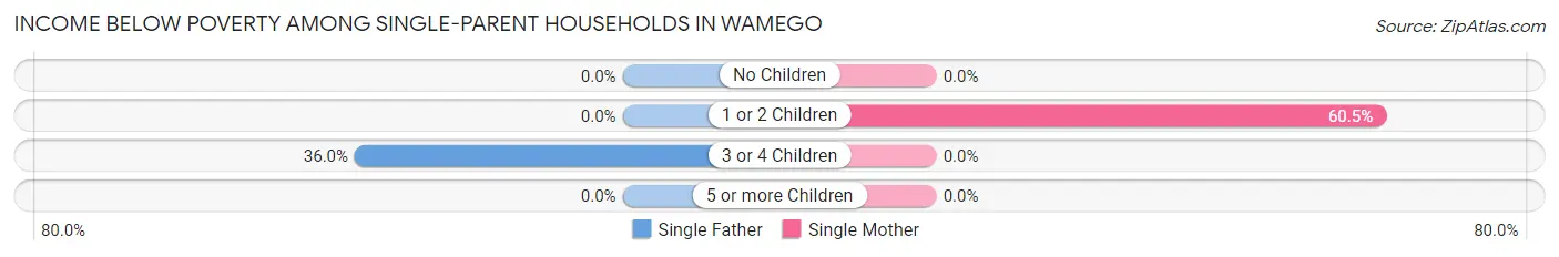 Income Below Poverty Among Single-Parent Households in Wamego