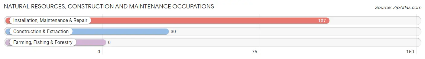 Natural Resources, Construction and Maintenance Occupations in Wathena