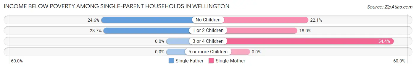 Income Below Poverty Among Single-Parent Households in Wellington