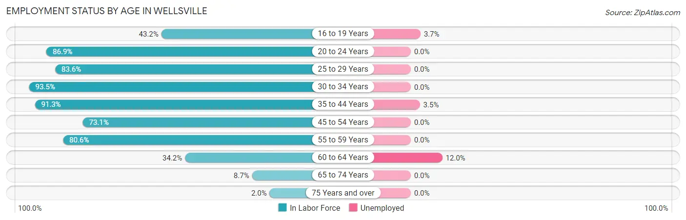 Employment Status by Age in Wellsville