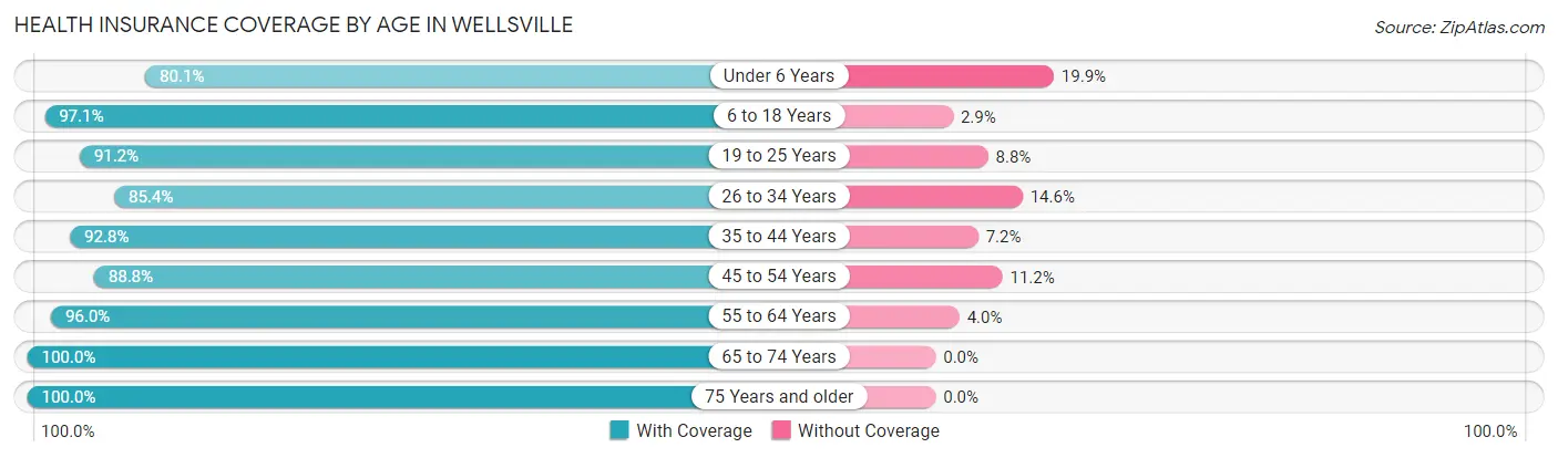 Health Insurance Coverage by Age in Wellsville