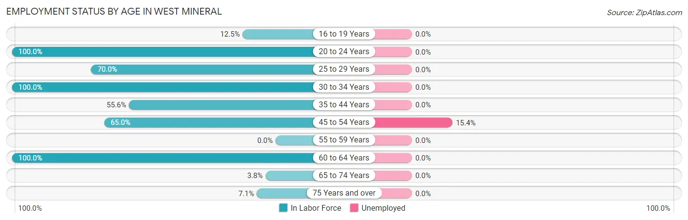Employment Status by Age in West Mineral