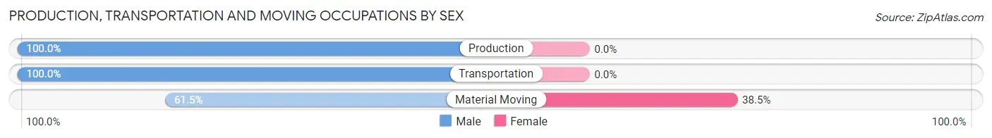 Production, Transportation and Moving Occupations by Sex in West Mineral