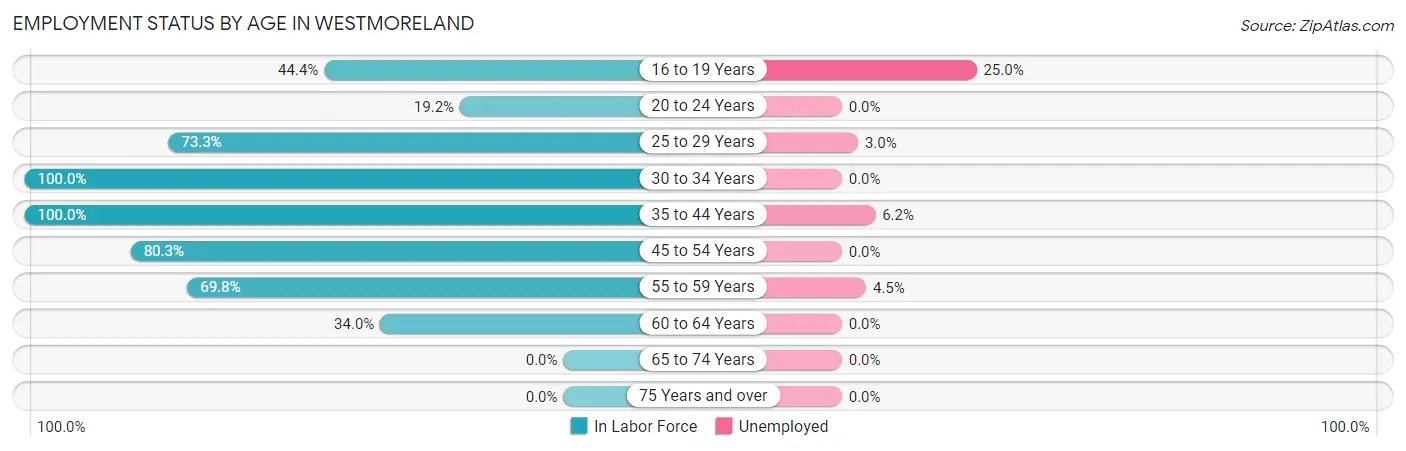 Employment Status by Age in Westmoreland