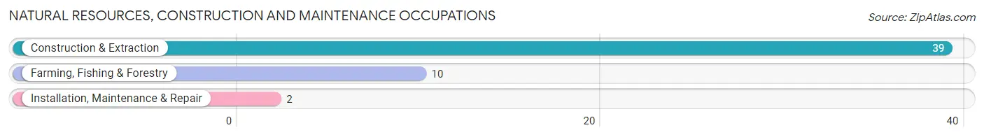 Natural Resources, Construction and Maintenance Occupations in Westwood