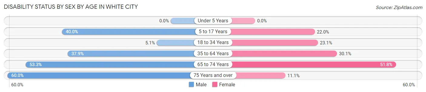 Disability Status by Sex by Age in White City