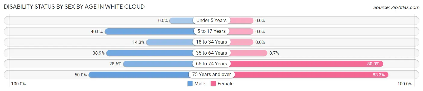 Disability Status by Sex by Age in White Cloud