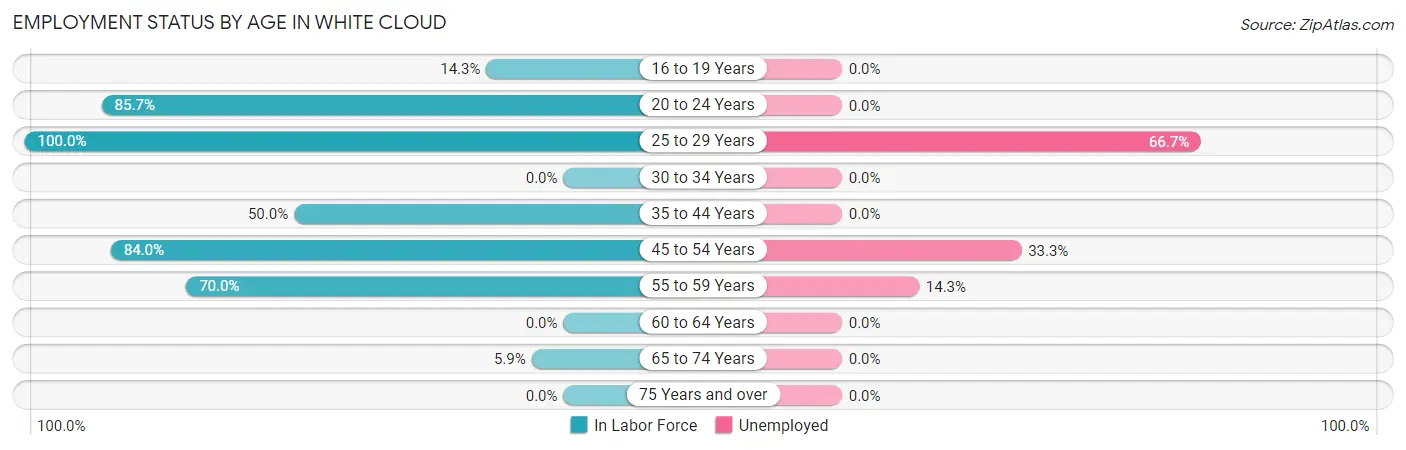 Employment Status by Age in White Cloud