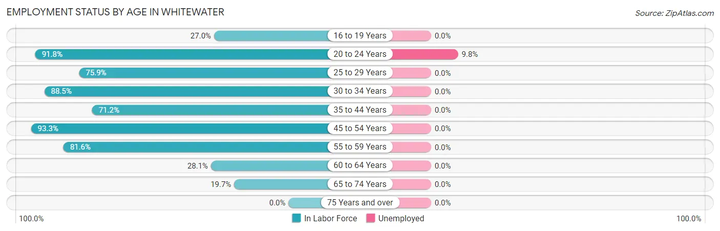 Employment Status by Age in Whitewater