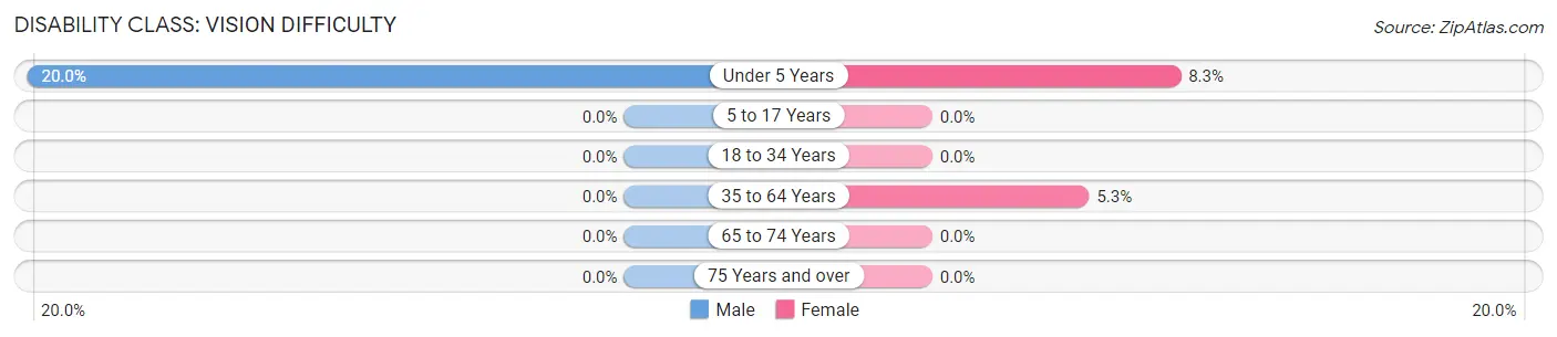 Disability in Whiting: <span>Vision Difficulty</span>