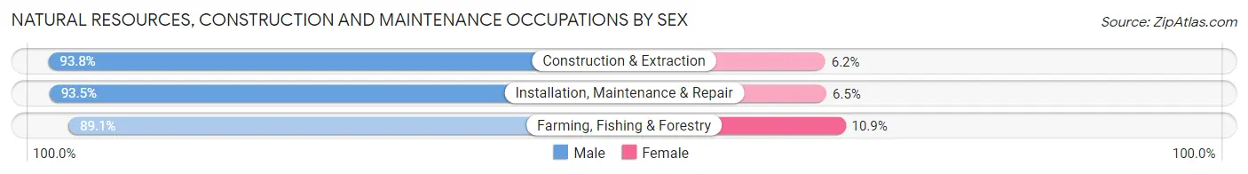 Natural Resources, Construction and Maintenance Occupations by Sex in Wichita