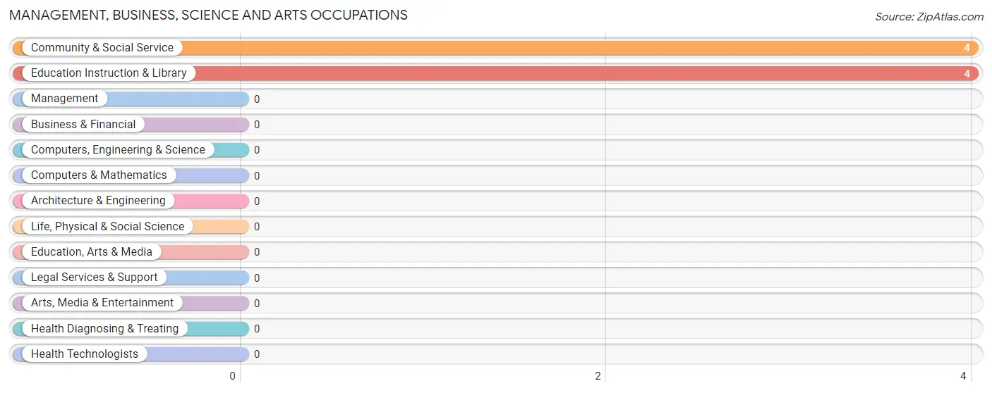 Management, Business, Science and Arts Occupations in Willis