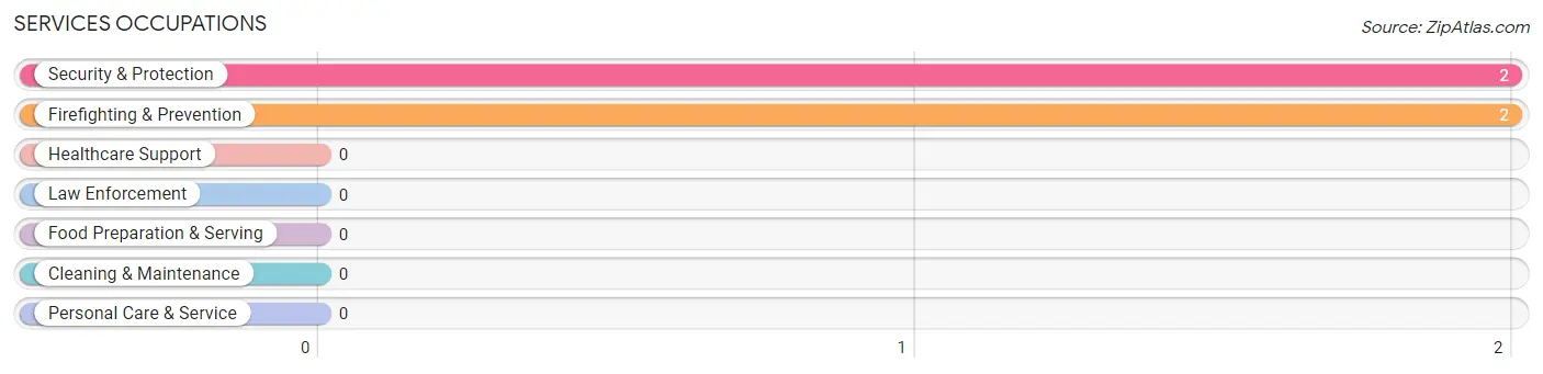 Services Occupations in Willis