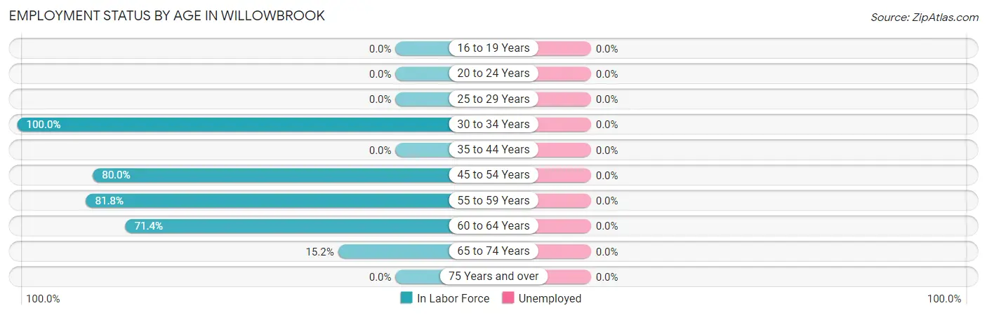 Employment Status by Age in Willowbrook