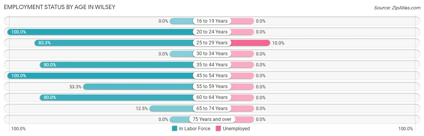 Employment Status by Age in Wilsey