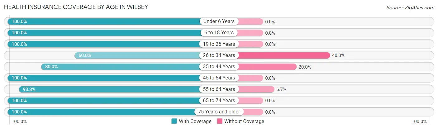 Health Insurance Coverage by Age in Wilsey