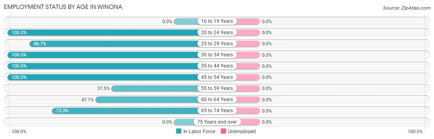 Employment Status by Age in Winona