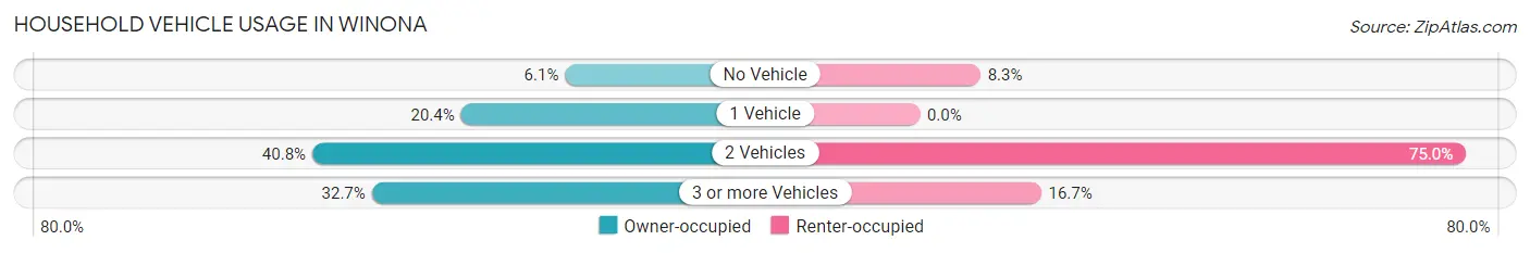 Household Vehicle Usage in Winona