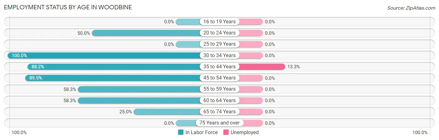 Employment Status by Age in Woodbine