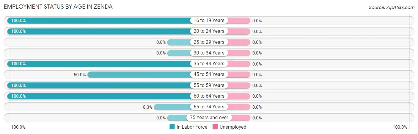 Employment Status by Age in Zenda