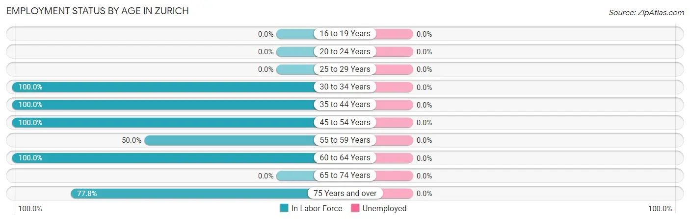 Employment Status by Age in Zurich