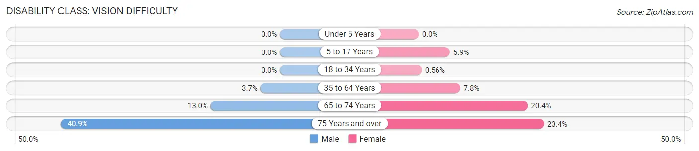 Disability in Albany: <span>Vision Difficulty</span>