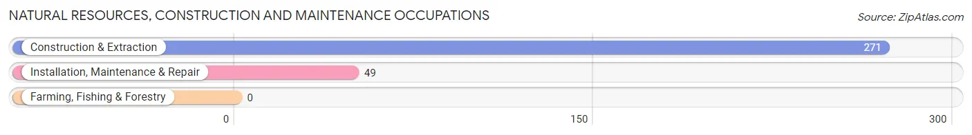 Natural Resources, Construction and Maintenance Occupations in Alexandria