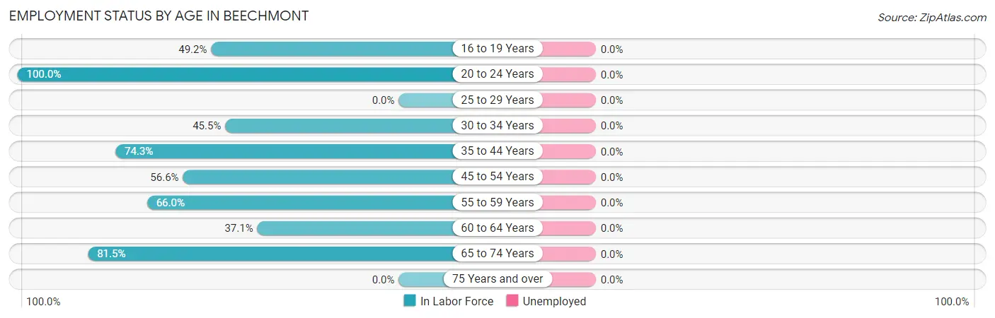Employment Status by Age in Beechmont