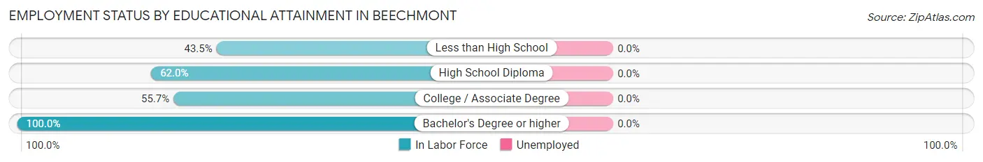 Employment Status by Educational Attainment in Beechmont