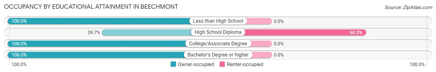 Occupancy by Educational Attainment in Beechmont