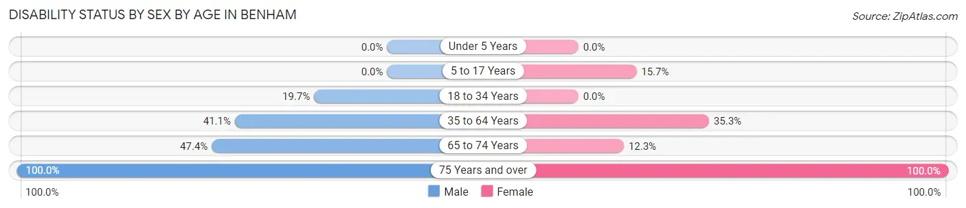 Disability Status by Sex by Age in Benham