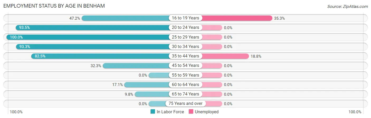 Employment Status by Age in Benham