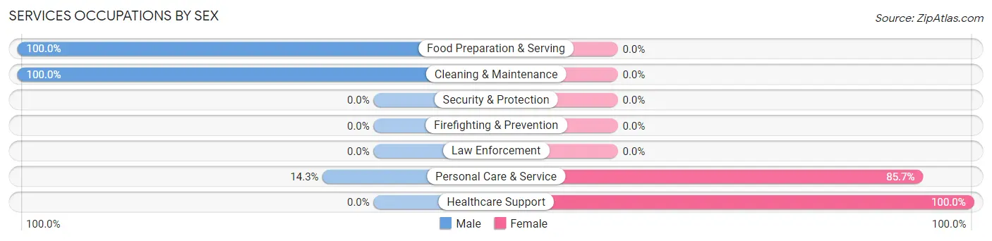 Services Occupations by Sex in Benham