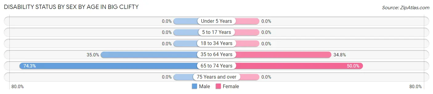Disability Status by Sex by Age in Big Clifty
