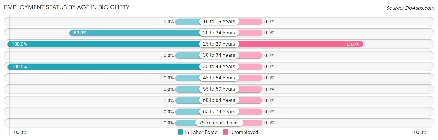Employment Status by Age in Big Clifty