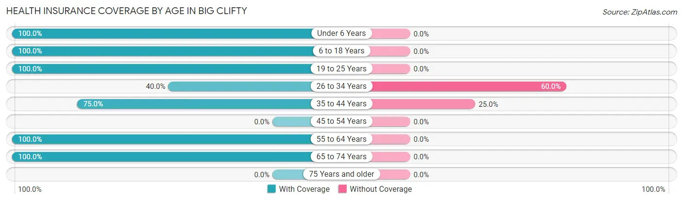 Health Insurance Coverage by Age in Big Clifty