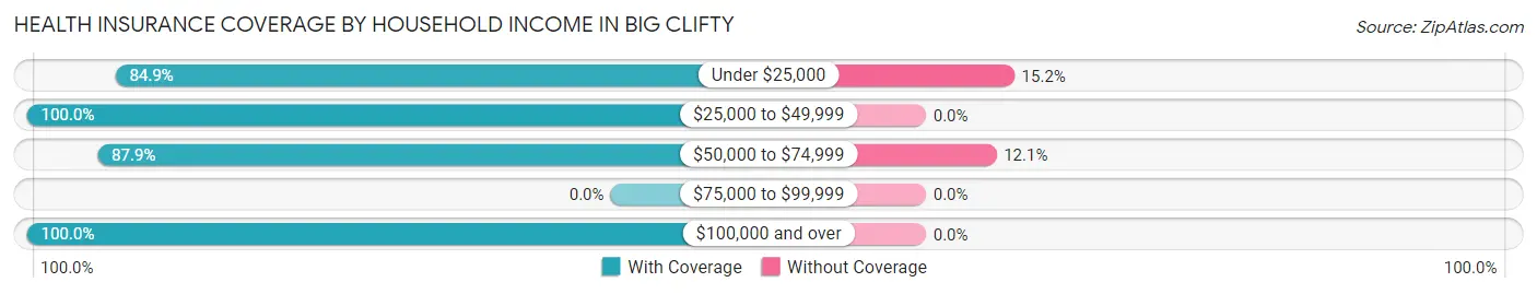 Health Insurance Coverage by Household Income in Big Clifty