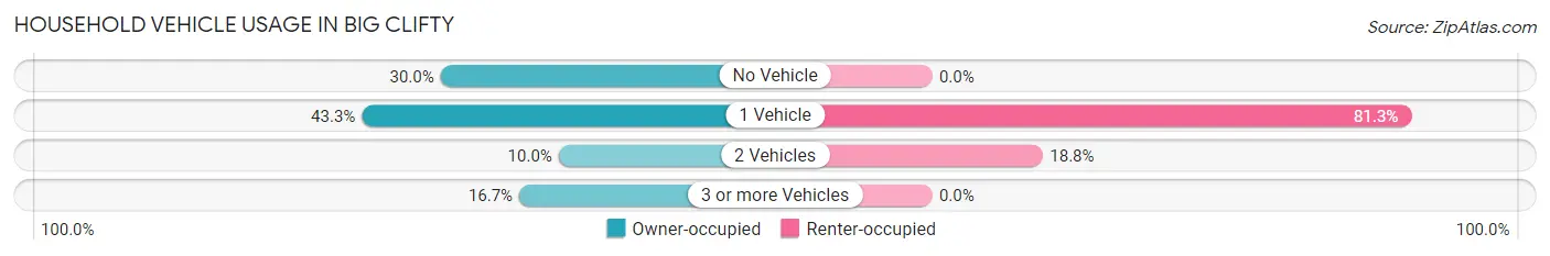 Household Vehicle Usage in Big Clifty