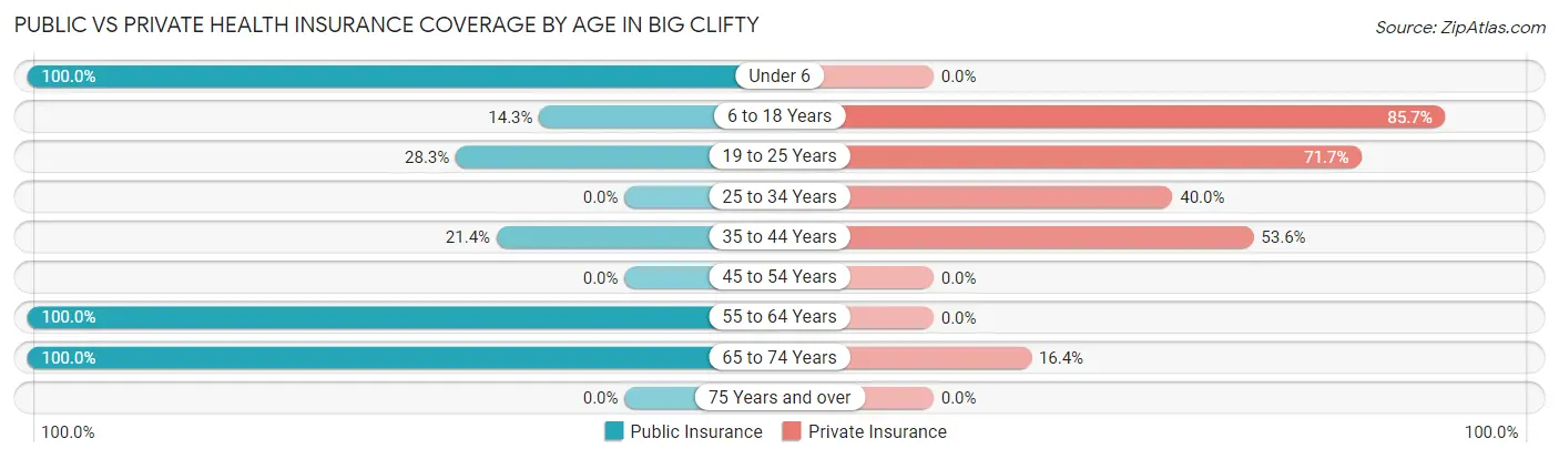 Public vs Private Health Insurance Coverage by Age in Big Clifty