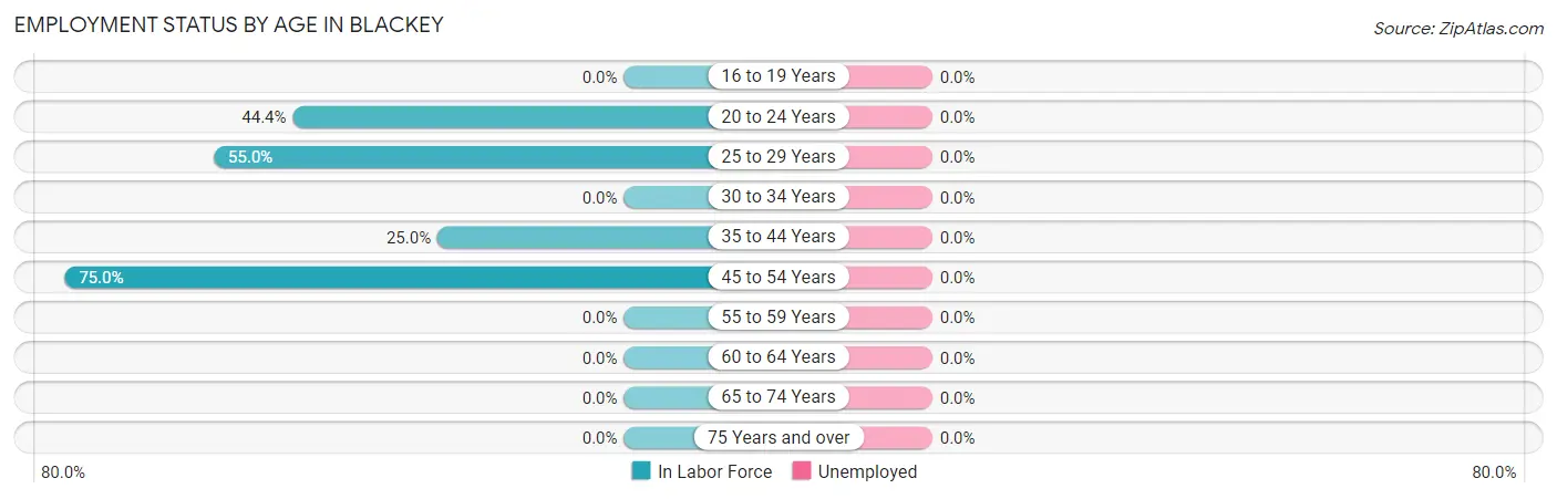 Employment Status by Age in Blackey