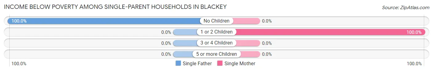 Income Below Poverty Among Single-Parent Households in Blackey