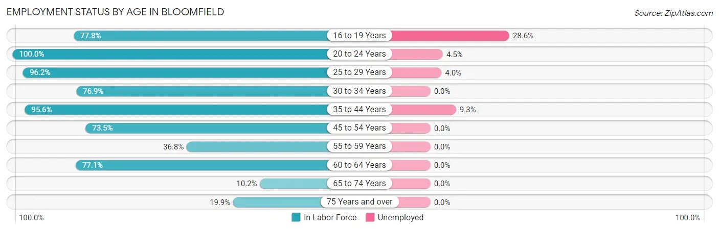 Employment Status by Age in Bloomfield