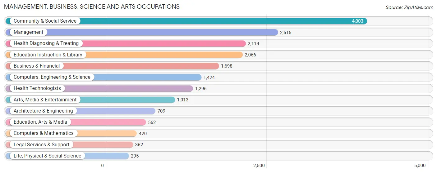 Management, Business, Science and Arts Occupations in Bowling Green