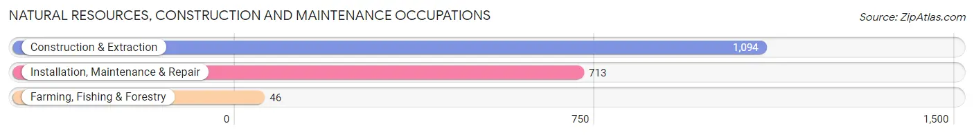 Natural Resources, Construction and Maintenance Occupations in Bowling Green