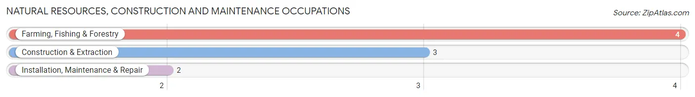 Natural Resources, Construction and Maintenance Occupations in Bremen