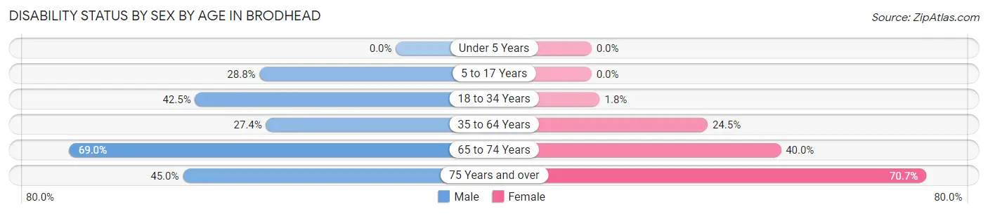 Disability Status by Sex by Age in Brodhead