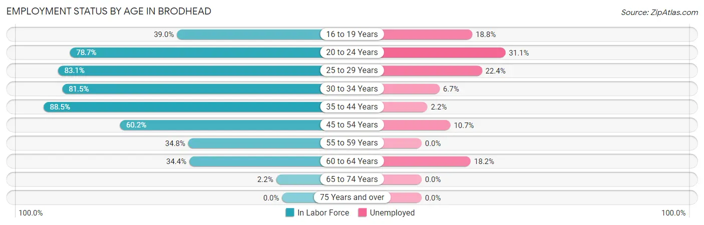 Employment Status by Age in Brodhead