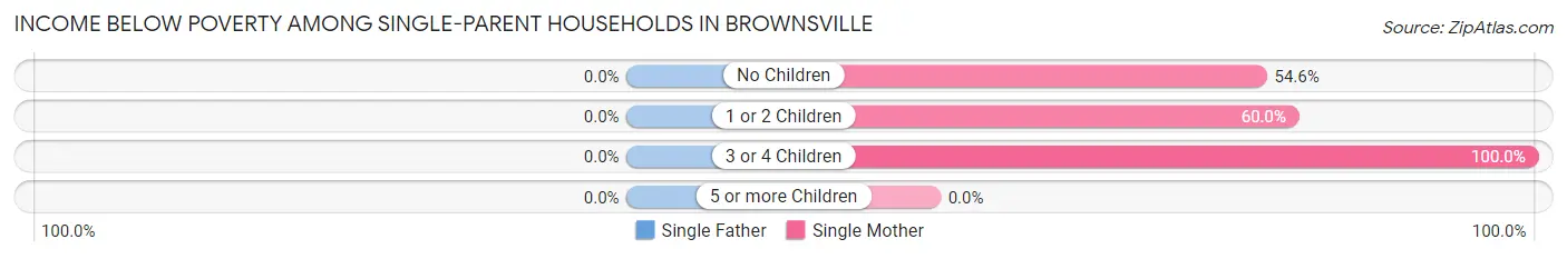 Income Below Poverty Among Single-Parent Households in Brownsville