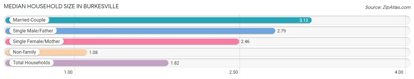 Median Household Size in Burkesville